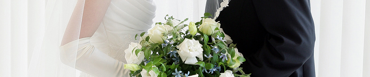 明確・明瞭なプランを設定しています